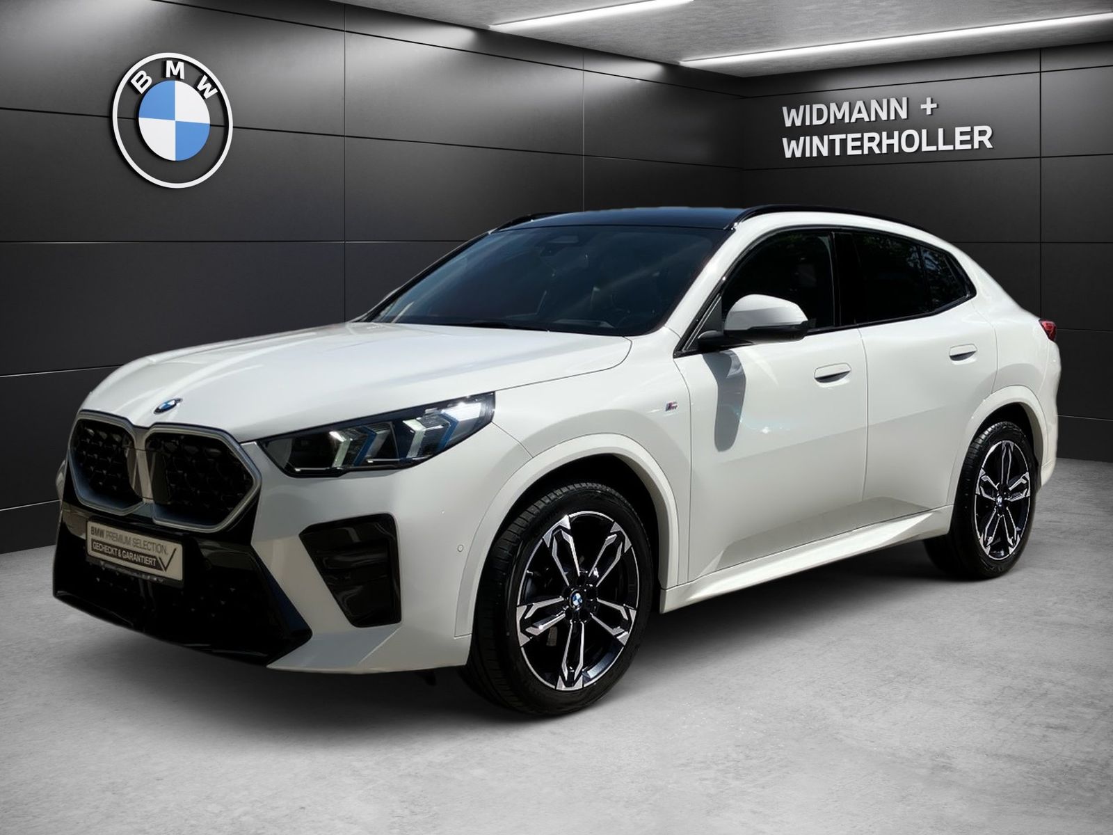 BMW X2 xDrive20d M Sport HUD Pano DA H K AHK foto 1