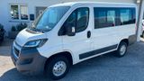 Peugeot Boxer Kombi 330 L1H1 Komfort HDi 110 - Peugeot Boxer: Kleinbus