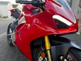 Ducati Panigale V4 S  - Offers matching your search criteria