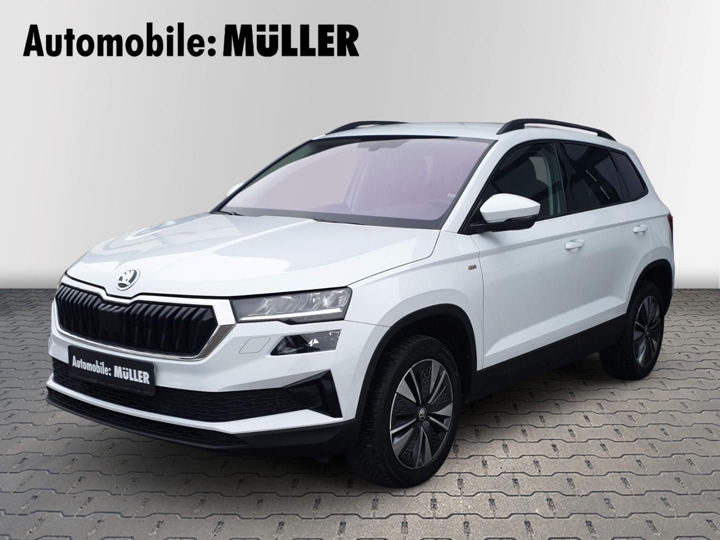 Skoda Karoq Tour 2.0 TDI DSG *Rückfahrkamera*Beheiz. F