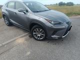 Lexus NX 300h Hybryda   - graue Lexus NX 300