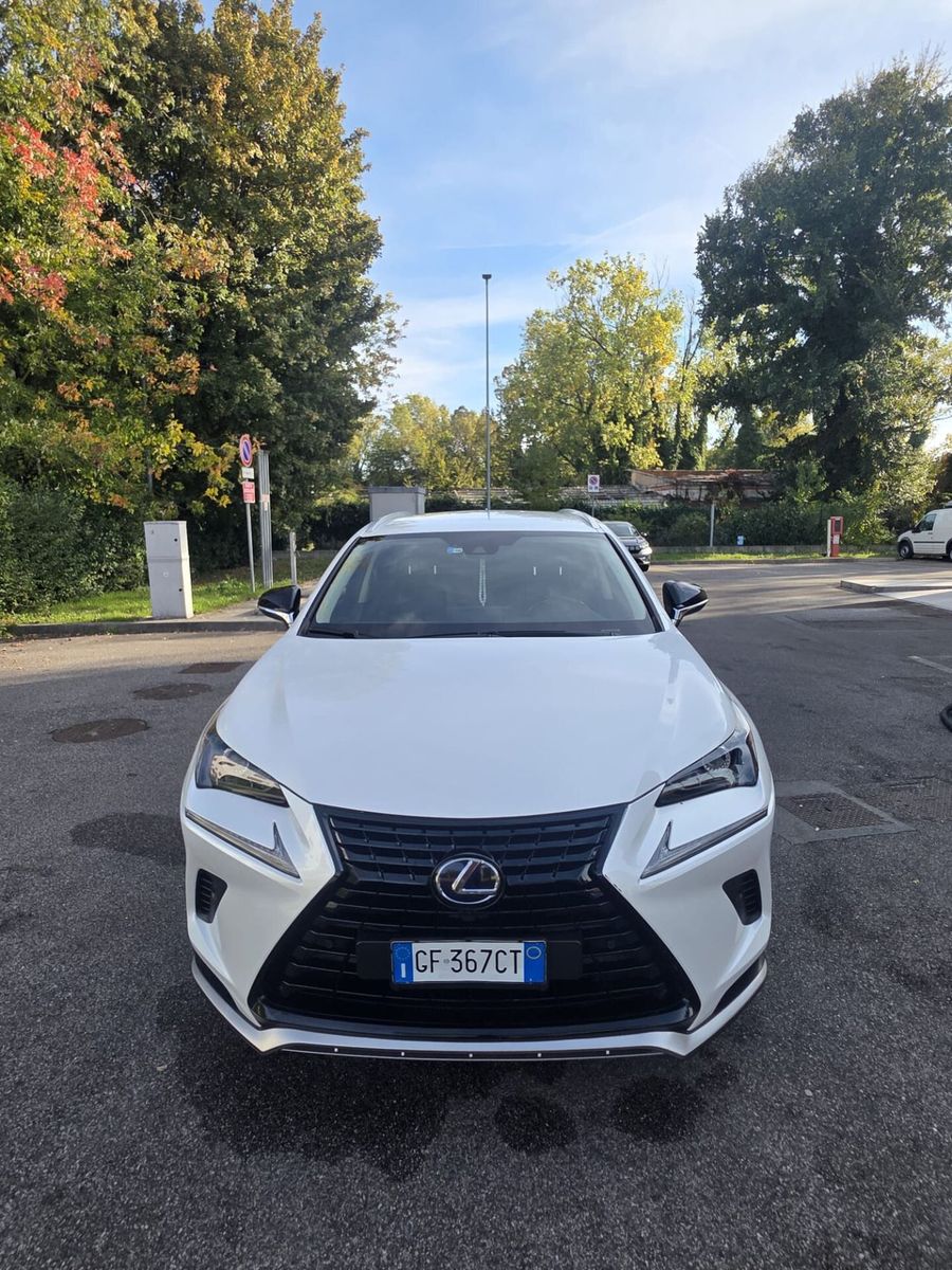 Lexus NX 300h Hybrid 4WD Premium imagem 2