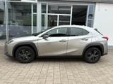 Lexus UX 200 Automatik Launch Edition - Lexus UX: Launch Edition