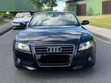 Audi A5 Cabriolet 2.0 TFSI Tüv Neu Top Zustand AHK - Audi A5 aus 2009: Cabrio