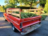 Ford 1967 Ford F100 Pick Up Truck mit TÜV - Ford F 100 Gebrauchtwagen