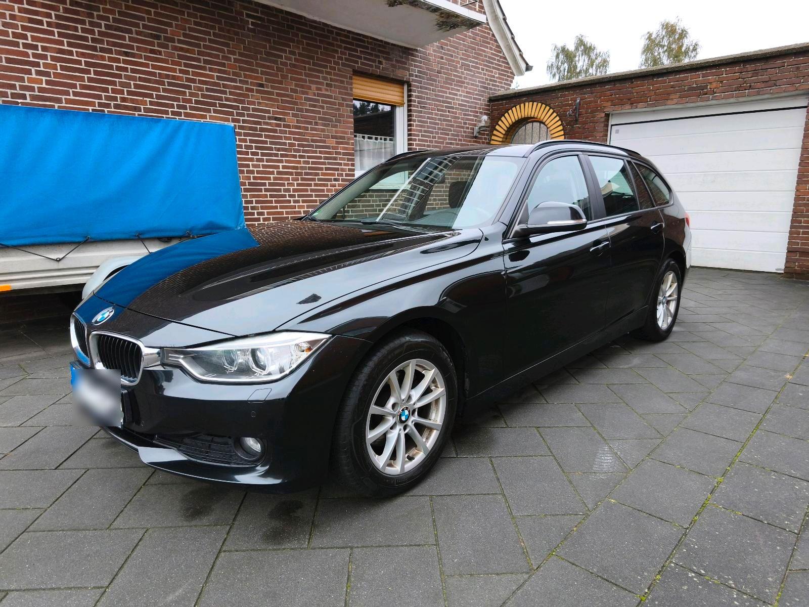 BMW  2013 — вигляд ззаду