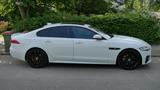 Jaguar XF 30d 300PS R-Sport Automatik / Top Zustand - Jaguar: X300