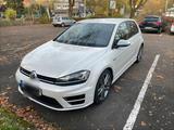 Volkswagen Golf 7R HGP 480 PS - Volkswagen: Hgp