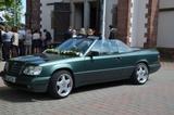 Mercedes-Benz E 320 H-Gutachten, dt. Fahrzeug, sehr gepflegt - Mercedes-Benz E 320 aus 1993