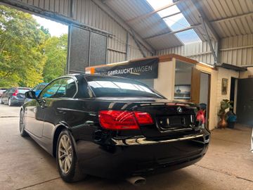 BMW 320 - 6