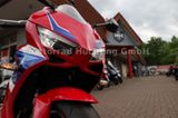 Honda CBR 650 R  E CLUTCH ! MODELL 2025 ! WENIG KM ! - HONDA CL