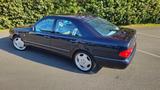 Mercedes-Benz E 430 AVANTGARDE *DT-FZG*AMG*XENON*SHZ Fond* - Mercedes-Benz E 430: Limousine