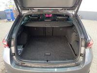 Skoda Octavia - Vorschau Bild 10