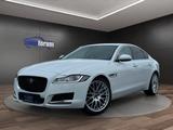 Jaguar XF Prestige ACC°LEDER°BI-XENON°TOTWINKEL°SPURH - Jaguar XF Prestige mit Diesel-Antrieb