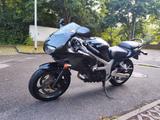 Suzuki SV 650 S Knubbel Scheckheftgepflegt  - SUZUKI 2000 SV650