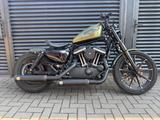 Harley-Davidson XL883 N Iron Sportster | Custom 180er - Offers