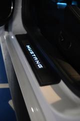 Ford Mustang 5.0 Ti-VCT V8 GT Auto GT - Ford Mustang Gebrauchtwagen in Dortmund