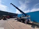 Terex AC 50 6x6, 50.000 kg, 40 m - Terex Baggerlader