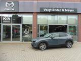 Mazda CX-30 Selection Design- u. Active-Paket 37.500 K - Mazda CX-30 in Hamburg