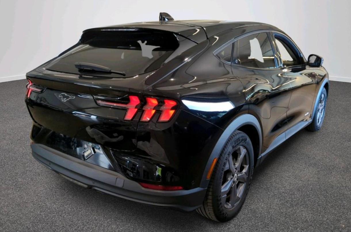 Ford Mustang Mach-E Basis