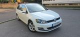 Volkswagen Golf VII  1.6 TDI   Variant Comfor