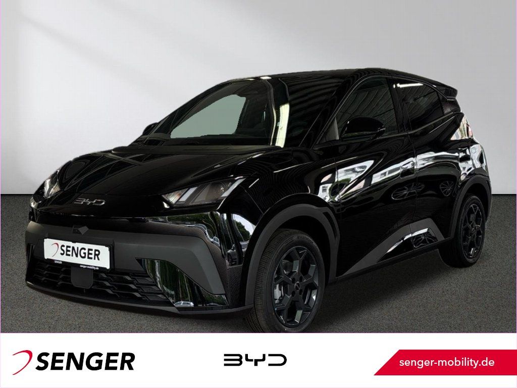 BYD DOLPHIN SURF