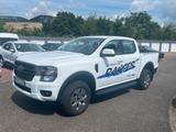 Ford Ranger Plug-in-Hybrid XLT DK+AHK - Ford Ranger: Allradantrieb, Xl