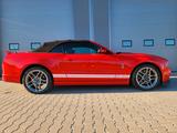 Ford Mustang GT500 SHELBY  5.8 20th anniversary - Ford Mustang: Cabrio, Shelby Gt500