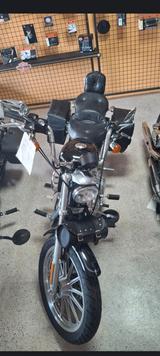 Harley-Davidson XLH 883 Sportster Jubiläumsmodell  - HARLEY-DAVIDSON 2003 SPORTSTER 883