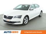 Skoda Superb 2.0 TDI Ambition  *BI-XENON*TEMPO*PDC* - Skoda Superb: Ambition