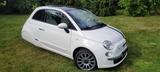 Andere Fiat 500 Ellenator - Fahren ab 16 / A1 - Andere mit Benzin-Antrieb: Allwetterreifen