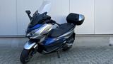 Honda  Forza 125 *Finanzierung ab 2,99%* - Honda e mit Benzin-Antrieb