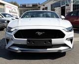 Ford Mustang 5.0 GT V8 Convertible Cabrio 1.Hand D.Fz - Ford Mustang in Leverkusen