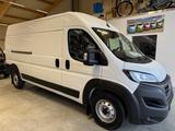 Fiat Ducato Maxi Kasten 35 140 L4H2 ACC+NAVI+GAR 5/28 - Fiat Ducato Tageszulassungen
