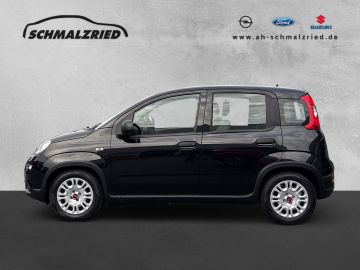 Bild 2 Fiat Panda Base 1.0 Mild Hybrid DAB Klima Freisprech