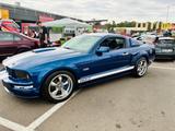Ford Mustang (Shelby GT) - 4.6L, V8 - Custom