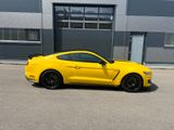 Ford Mustang Shelby GT 350 - Ford Mustang: Gt350 Shelby