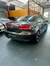 Volkswagen Eos 1.4 TSI  * TÜV & Service NEU * - VW Eos Gebrauchtwagen