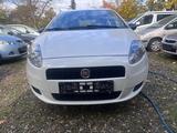 Fiat Punto 1.2 8V POP - Fiat Punto: 1.2