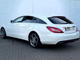 Mercedes-Benz CLS 250 Shooting Brake - Mercedes-Benz CLS 250 Shooting Brake Gebrauchtwagen