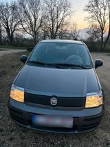 Fiat Panda Typ 169 - Fiat Panda Gebrauchtwagen in Aachen