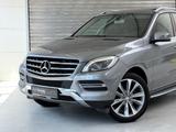 Mercedes-Benz ML 350 CDI BlueTec*LED*Kamera*GSD*Massage*20Zoll - Mercedes-Benz ML 350: Bluetec