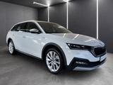 Skoda Octavia Combi Scout 4x4 - AHK, Standheizung - Skoda: Combi Scout