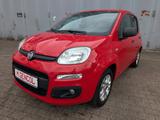 Fiat Panda More - Fiat Panda: Rot