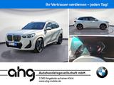 BMW X1 xDrive20d Steptronic M Sportpaket AHK M Sport