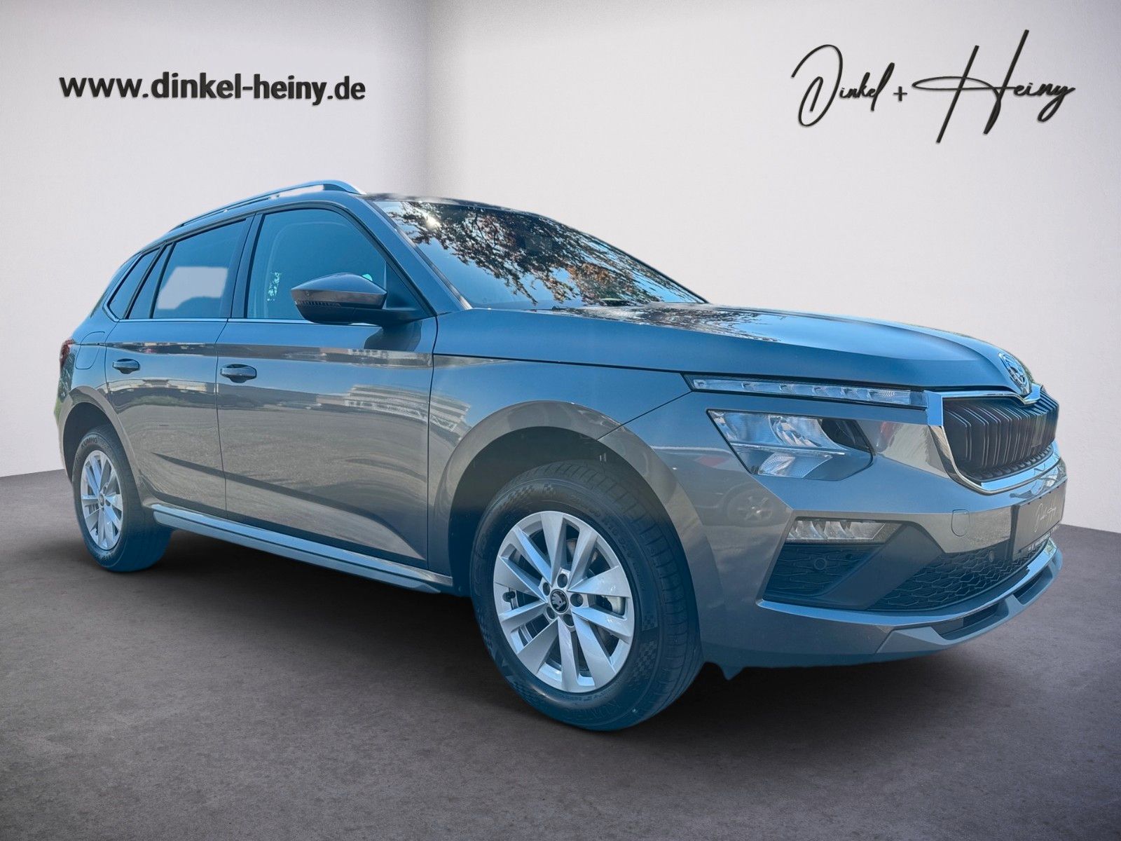 Fahrzeugabbildung SKODA Kamiq Selection 1.5TSI