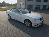 Mercedes-Benz CLK 550 388KM 39968km - Mercedes-Benz CLK 500 von privat