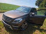Mercedes-Benz Mersedes ML 350 Bluetec - Mercedes-Benz: Mersedes