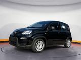 Fiat Panda Neues Modell 1.0 *5 Sitzer Klima PDC DAB* - Fiat Panda in Magdeburg