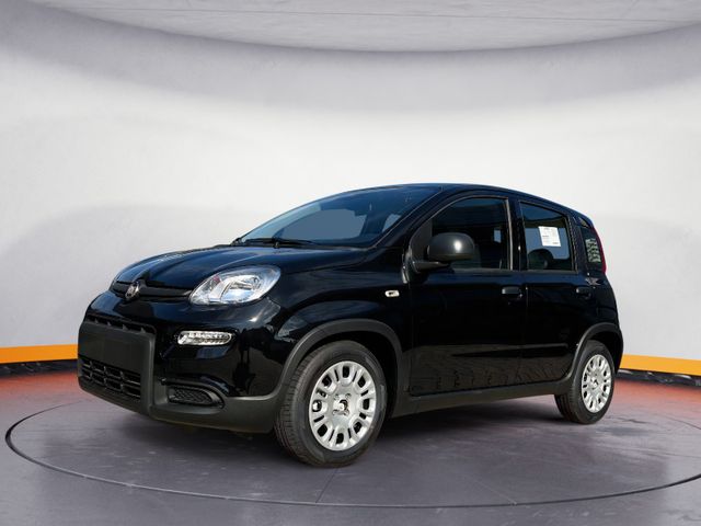 Fiat Panda Neues Modell 1.0 *5 Sitzer Klima PDC DAB*